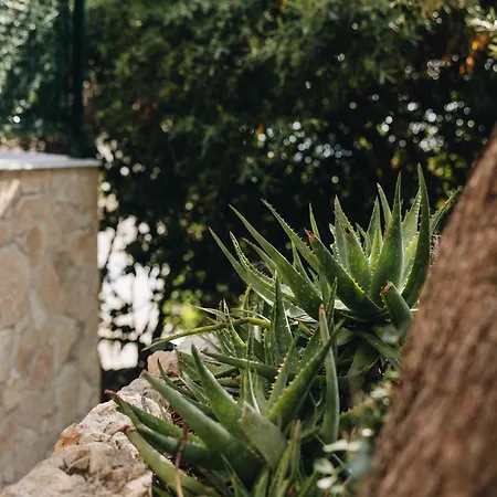 Marghareta #1# Location Apartment *