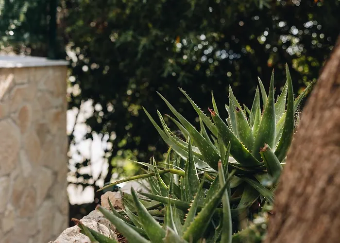 Marghareta #1# Location Apartament *