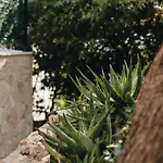 Marghareta #1# Location Apartamento *